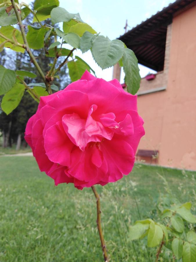 Villa Niccoli 卡斯泰尔菲奥伦蒂诺 外观 照片