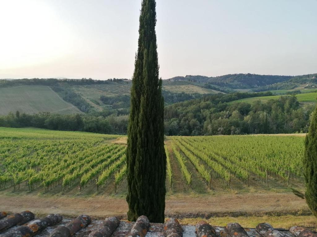 Villa Niccoli 卡斯泰尔菲奥伦蒂诺 外观 照片